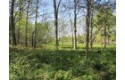 Property photo 13 - Real Estate Auction - 1939 Dutch Colonial home plus guest house, horse barn and 144 ft pole barn, all on over 11.5 acres