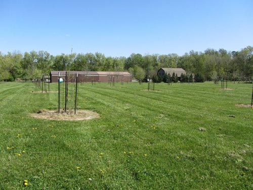 Property photo 24 - Real Estate Auction - 1939 Dutch Colonial home plus guest house, horse barn and 144 ft pole barn, all on over 11.5 acres