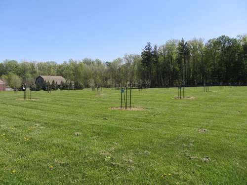 Property photo 25 - Real Estate Auction - 1939 Dutch Colonial home plus guest house, horse barn and 144 ft pole barn, all on over 11.5 acres