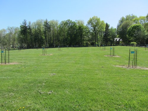 Property photo 26 - Real Estate Auction - 1939 Dutch Colonial home plus guest house, horse barn and 144 ft pole barn, all on over 11.5 acres