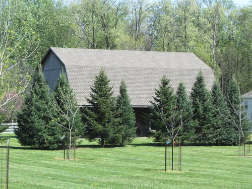 Property photo 5 - Real Estate Auction - 1939 Dutch Colonial home plus guest house, horse barn and 144 ft pole barn, all on over 11.5 acres