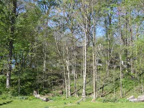 Property photo 3 - Real Estate Auction - 1939 Dutch Colonial home plus guest house, horse barn and 144 ft pole barn, all on over 11.5 acres
