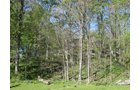 Property photo 3 - Real Estate Auction - 1939 Dutch Colonial home plus guest house, horse barn and 144 ft pole barn, all on over 11.5 acres