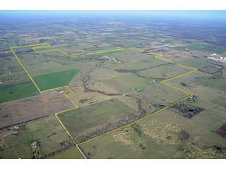 Property photo 2 - Cattle Farm Land Auction, 1,200 Acres in 16 Tracts, Hay & Pasture Land, Woods, Excellent Improvements