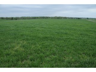 Tract 10 - Cattle Farm Land Auction, 1,200 Acres in 16 Tracts, Hay & Pasture Land, Woods, Excellent Improvements