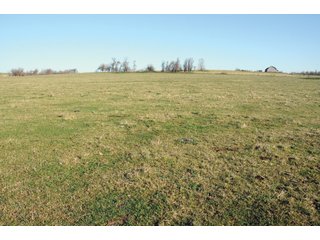 Tract 11 - Cattle Farm Land Auction, 1,200 Acres in 16 Tracts, Hay & Pasture Land, Woods, Excellent Improvements