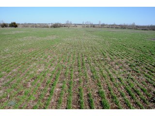 Tract 15 - Cattle Farm Land Auction, 1,200 Acres in 16 Tracts, Hay & Pasture Land, Woods, Excellent Improvements