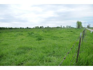 Tract 16 - Cattle Farm Land Auction, 1,200 Acres in 16 Tracts, Hay & Pasture Land, Woods, Excellent Improvements