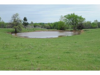 Tract 5 - Cattle Farm Land Auction, 1,200 Acres in 16 Tracts, Hay & Pasture Land, Woods, Excellent Improvements