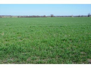 Tract 7 - Cattle Farm Land Auction, 1,200 Acres in 16 Tracts, Hay & Pasture Land, Woods, Excellent Improvements