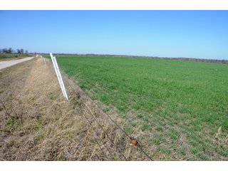 Tract 7 - Cattle Farm Land Auction, 1,200 Acres in 16 Tracts, Hay & Pasture Land, Woods, Excellent Improvements