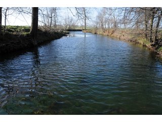 Tract 9 - Cattle Farm Land Auction, 1,200 Acres in 16 Tracts, Hay & Pasture Land, Woods, Excellent Improvements