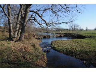 Tract 9 - Cattle Farm Land Auction, 1,200 Acres in 16 Tracts, Hay & Pasture Land, Woods, Excellent Improvements