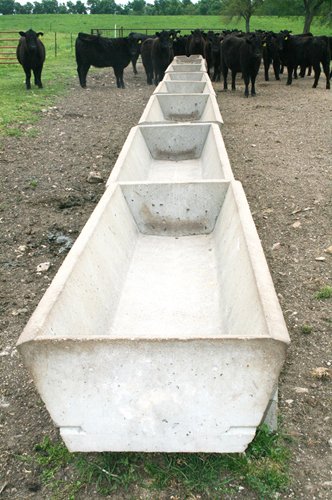 Property photo 21 - Farm & Cattle Equipment Auction