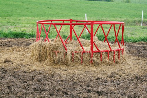 Property photo 20 - Farm & Cattle Equipment Auction