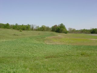 Property photo 19 - 77+/- Acres Offered in 6 Tracts of Noble County Real Estate and Personal Property Auction
