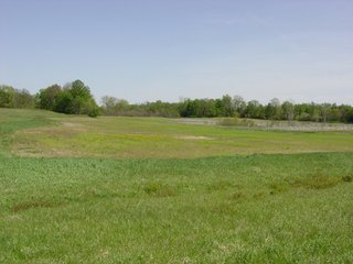Property photo 10 - 77+/- Acres Offered in 6 Tracts of Noble County Real Estate and Personal Property Auction