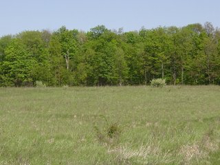 Property photo 23 - 77+/- Acres Offered in 6 Tracts of Noble County Real Estate and Personal Property Auction