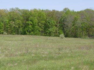 Property photo 12 - 77+/- Acres Offered in 6 Tracts of Noble County Real Estate and Personal Property Auction
