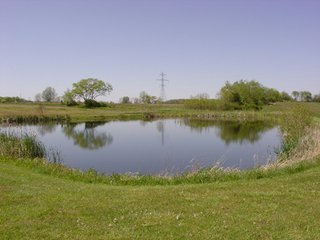 Property photo 2 - 77+/- Acres Offered in 6 Tracts of Noble County Real Estate and Personal Property Auction