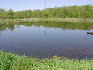 Property photo 5 - 77+/- Acres Offered in 6 Tracts of Noble County Real Estate and Personal Property Auction