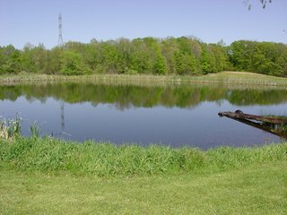 Property photo 6 - 77+/- Acres Offered in 6 Tracts of Noble County Real Estate and Personal Property Auction