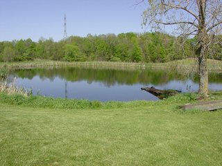 Property photo 26 - 77+/- Acres Offered in 6 Tracts of Noble County Real Estate and Personal Property Auction