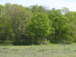 Property photo 22 - 77+/- Acres Offered in 6 Tracts of Noble County Real Estate and Personal Property Auction