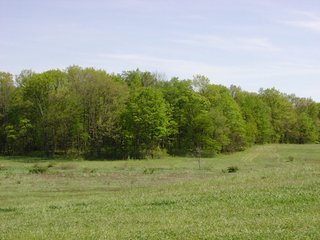 Property photo 3 - 77+/- Acres Offered in 6 Tracts of Noble County Real Estate and Personal Property Auction