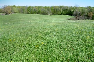 Smith, Whitley County