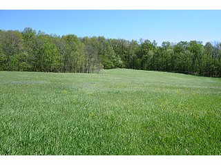 Property photo 1 - 35+/- Acres Offered in 3 Tracts Absolute Land Auction