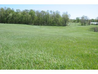 Property photo 11 - 35+/- Acres Offered in 3 Tracts Absolute Land Auction