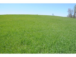 Property photo 13 - 35+/- Acres Offered in 3 Tracts Absolute Land Auction