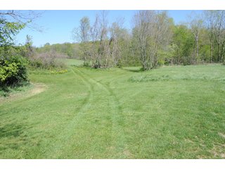 Property photo 7 - 35+/- Acres Offered in 3 Tracts Absolute Land Auction