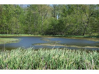 Property photo 5 - 35+/- Acres Offered in 3 Tracts Absolute Land Auction