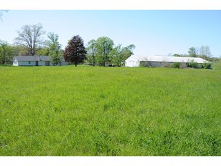 Property photo 6 - 35+/- Acres Offered in 3 Tracts Absolute Land Auction