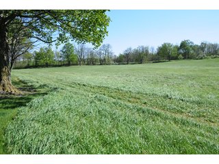 Property photo 12 - 35+/- Acres Offered in 3 Tracts Absolute Land Auction