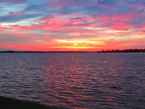 Property photo 54 - 2 Acres of Prime Lakefront Real Estate Auction with Home, Peninsula and Private Island