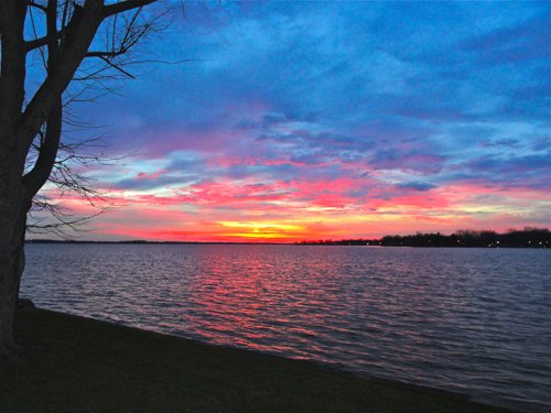 Property photo 64 - 2 Acres of Prime Lakefront Real Estate Auction with Home, Peninsula and Private Island