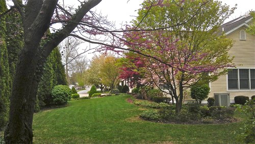 Property photo 87 - 2 Acres of Prime Lakefront Real Estate Auction with Home, Peninsula and Private Island
