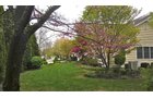 Property photo 87 - 2 Acres of Prime Lakefront Real Estate Auction with Home, Peninsula and Private Island