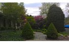 Property photo 48 - 2 Acres of Prime Lakefront Real Estate Auction with Home, Peninsula and Private Island
