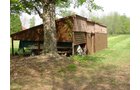 Property photo 13 - Ranch Home on 4.94 Acres Real Estate Auction and Personal Property Auction