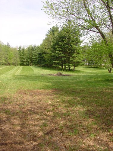 Property photo 31 - Ranch Home on 4.94 Acres Real Estate Auction and Personal Property Auction
