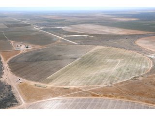 Property photo 39 - 3,233+/- Acre All Contiguous Land Auction Offered in 2 Tracts with 2,162+/- Acres Irrigated Cropland