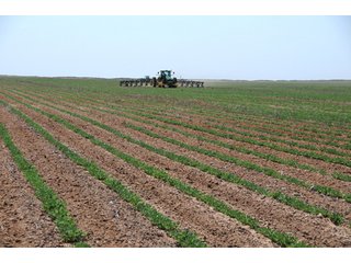 Property photo 31 - 3,233+/- Acre All Contiguous Land Auction Offered in 2 Tracts with 2,162+/- Acres Irrigated Cropland