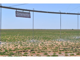 Property photo 2 - 3,233+/- Acre All Contiguous Land Auction Offered in 2 Tracts with 2,162+/- Acres Irrigated Cropland