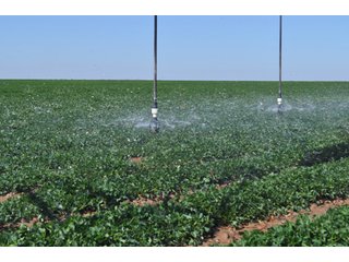 Property photo 16 - 3,233+/- Acre All Contiguous Land Auction Offered in 2 Tracts with 2,162+/- Acres Irrigated Cropland