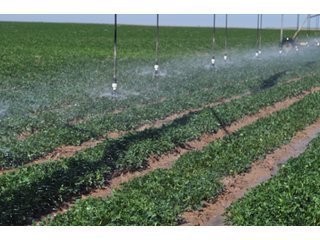 Property photo 19 - 3,233+/- Acre All Contiguous Land Auction Offered in 2 Tracts with 2,162+/- Acres Irrigated Cropland