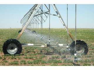 Property photo 38 - 3,233+/- Acre All Contiguous Land Auction Offered in 2 Tracts with 2,162+/- Acres Irrigated Cropland